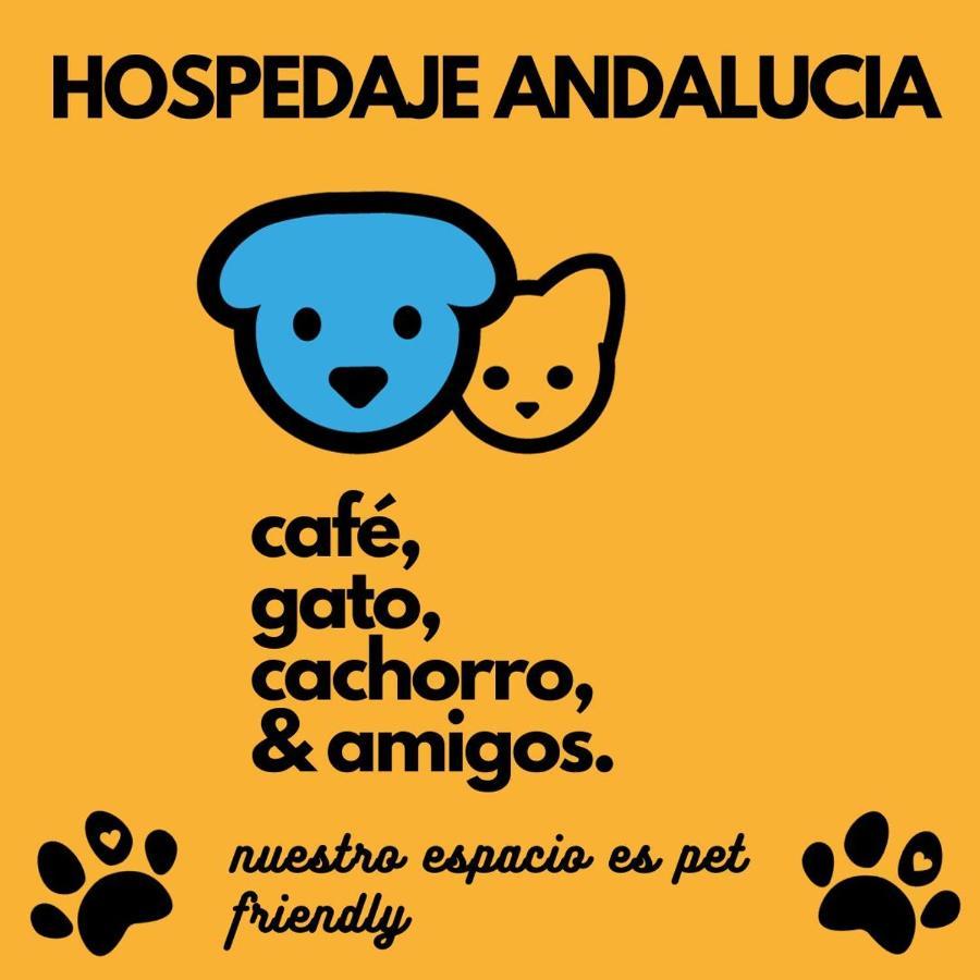 Casa Andalucia Vandrehjem Florianópolis Eksteriør billede